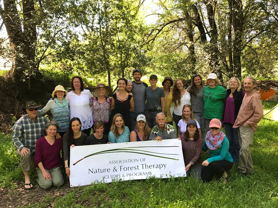 Forest Therapy Programs Mission And Vision Talk Gozdni Selfness